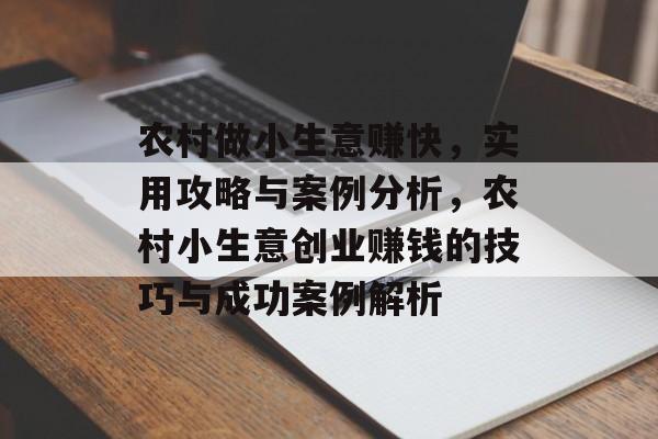 农村做小生意赚快,实用攻略与案例分析,农村小生意创业赚钱的技巧与成功案例解析 农村做小生意赚快,实用攻略与案例分析,农村小生意创业赚钱的技巧与成功案例解析
