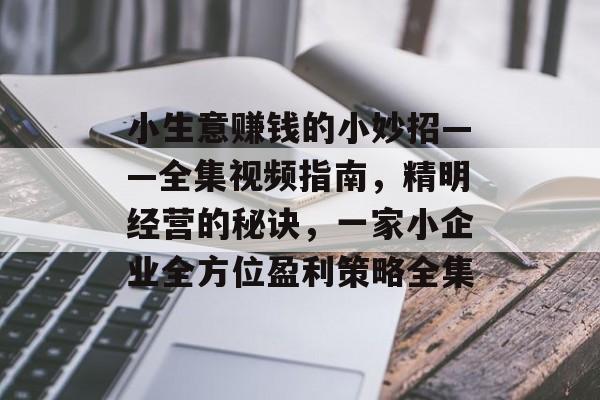 小生意赚钱的小妙招——全集视频指南,精明经营的秘诀,一家小企业全方位盈利策略全集 小生意赚钱的小妙招——全集视频指南,精明经营的秘诀,一家小企业全方位盈利策略全集