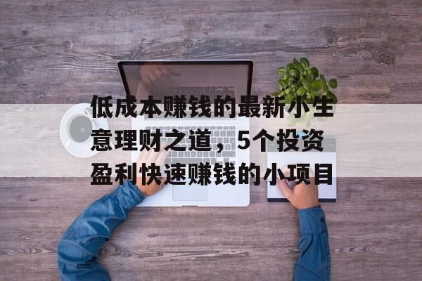 低成本赚钱的最新小生意理财之道,5个投资盈利快速赚钱的小项目 低成本赚钱的最新小生意理财之道,5个投资盈利快速赚钱的小项目