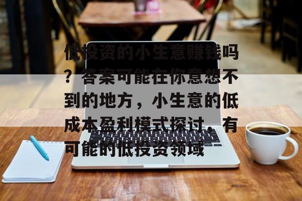 低投资的小生意赚钱吗?答案可能在你意想不到的地方,小生意的低成本盈利模式探讨,有可能的低投资领域 低投资的小生意赚钱吗?答案可能在你意想不到的地方,小生意的低成本盈利模式探讨,有可能的低投资领域