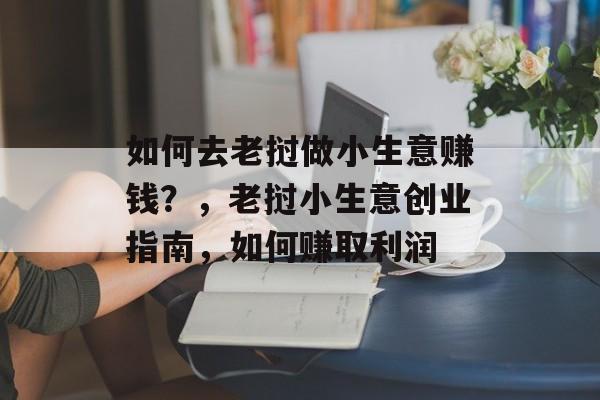 如何去老挝做小生意赚钱？，老挝小生意创业指南，如何赚取利润