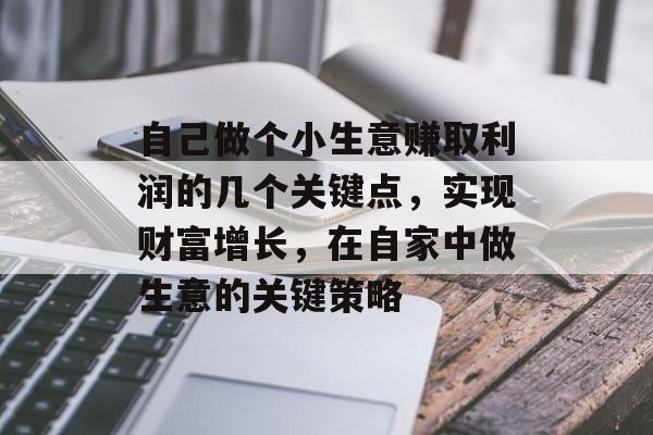 自己做个小生意赚取利润的几个关键点，实现财富增长，在自家中做生意的关键策略