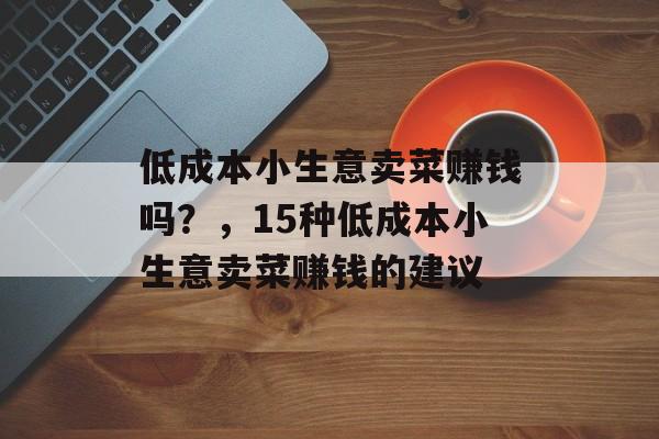 低成本小生意卖菜赚钱吗?,15种低成本小生意卖菜赚钱的建议 低成本小生意卖菜赚钱吗?,15种低成本小生意卖菜赚钱的建议