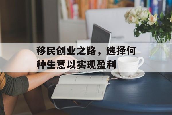 移民创业之路，选择何种生意以实现盈利