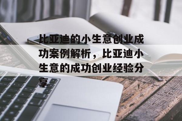 比亚迪的小生意创业成功案例解析,比亚迪小生意的成功创业经验分享 比亚迪的小生意创业成功案例解析,比亚迪小生意的成功创业经验分享