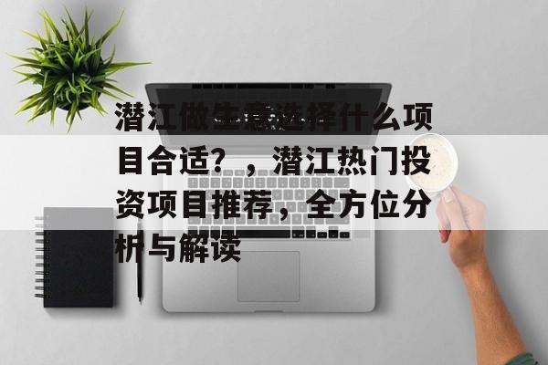 潜江做生意选择什么项目合适？，潜江热门投资项目推荐，全方位分析与解读