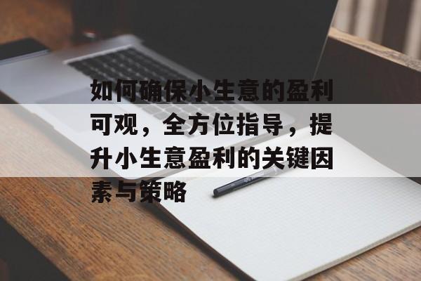 如何确保小生意的盈利可观,全方位指导,提升小生意盈利的关键因素与策略 如何确保小生意的盈利可观,全方位指导,提升小生意盈利的关键因素与策略
