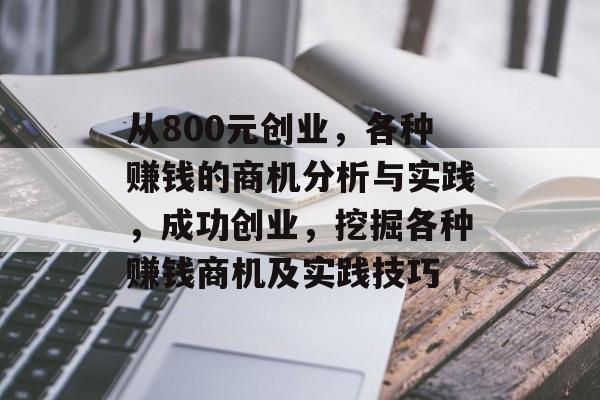 从800元创业,各种赚钱的商机分析与实践,成功创业,挖掘各种赚钱商机及实践技巧 从800元创业,各种赚钱的商机分析与实践,成功创业,挖掘各种赚钱商机及实践技巧