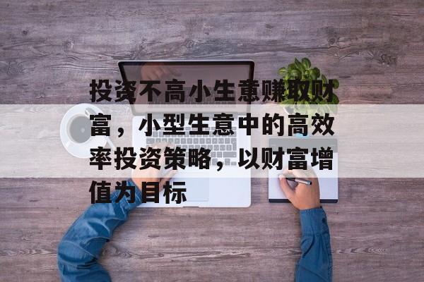 投资不高小生意赚取财富,小型生意中的高效率投资策略,以财富增值为目标 投资不高小生意赚取财富,小型生意中的高效率投资策略,以财富增值为目标