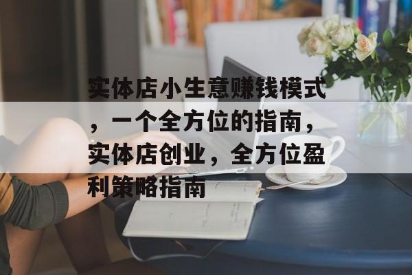 实体店小生意赚钱模式，一个全方位的指南，实体店创业，全方位盈利策略指南