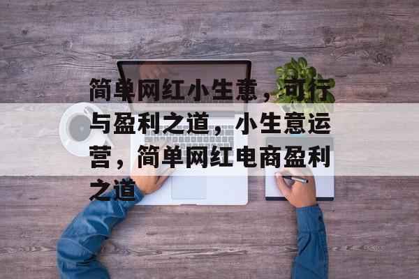 简单网红小生意,可行与盈利之道,小生意运营,简单网红电商盈利之道 简单网红小生意,可行与盈利之道,小生意运营,简单网红电商盈利之道
