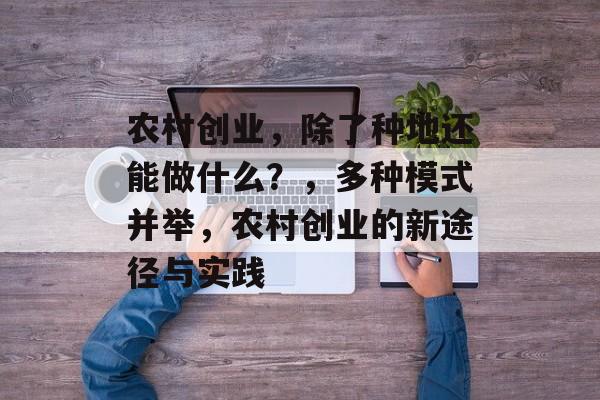 农村创业,除了种地还能做什么?,多种模式并举,农村创业的新途径与实践 农村创业,除了种地还能做什么?,多种模式并举,农村创业的新途径与实践