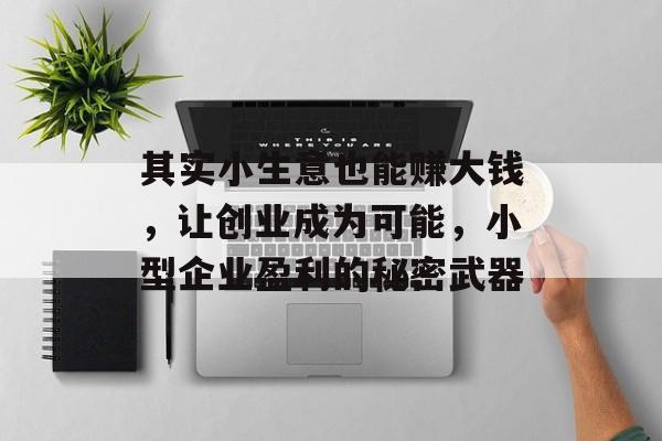 其实小生意也能赚大钱，让创业成为可能，小型企业盈利的秘密武器