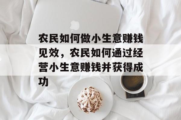 农民如何做小生意赚钱见效,农民如何通过经营小生意赚钱并获得成功 农民如何做小生意赚钱见效,农民如何通过经营小生意赚钱并获得成功