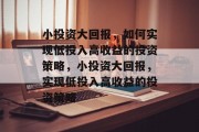 小投资大回报，如何实现低投入高收益的投资策略，小投资大回报，实现低投入高收益的投资策略