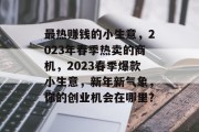 最热赚钱的小生意，2023年春季热卖的商机，2023春季爆款小生意，新年新气象，你的创业机会在哪里？