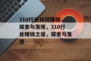 310行业如何赚钱，探索与发现，310行业赚钱之道，探索与发现