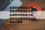 云南农村的致富之路，探索农村赚钱新途径，云南农村的致富之路，探索农村赚钱新途径的实践与探索