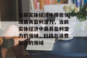 当前实体经济中哪些领域最具盈利潜力，当前实体经济中最具盈利潜力的领域，科技与消费融合的领域