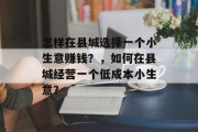 怎样在县城选择一个小生意赚钱？，如何在县城经营一个低成本小生意？