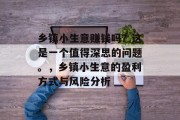 乡镇小生意赚钱吗？这是一个值得深思的问题。，乡镇小生意的盈利方式与风险分析