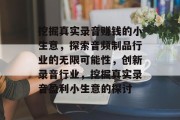 挖掘真实录音赚钱的小生意，探索音频制品行业的无限可能性，创新录音行业，挖掘真实录音盈利小生意的探讨