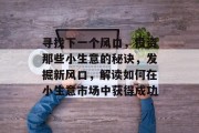 寻找下一个风口，投资那些小生意的秘诀，发掘新风口，解读如何在小生意市场中获得成功
