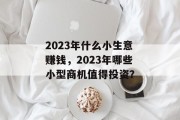 2023年什么小生意赚钱，2023年哪些小型商机值得投资？