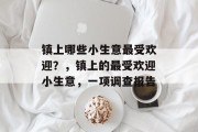 镇上哪些小生意最受欢迎？，镇上的最受欢迎小生意，一项调查报告