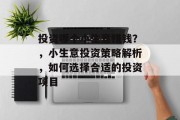 投资哪个小生意赚钱？，小生意投资策略解析，如何选择合适的投资项目