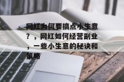 网红为何要搞点小生意？，网红如何经营副业，一些小生意的秘诀和策略
