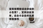 宜宾有哪些适合创业的小生意？，宜宾创业清单，适合小企业的优质项目推荐