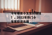 今年哪些小生意好赚钱？，2022年热门小生意投资选择