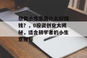 想做小生意做什么好赚钱？，0投资创业大揭秘，适合初学者的小生意推荐