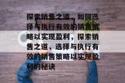 探索销售之道，如何选择与执行有效的销售策略以实现盈利，探索销售之道，选择与执行有效的销售策略以实现盈利的秘诀