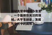 揭秘大学中赚钱小生意，一个值得你关注的领域，大学生创业，发掘与分析中的商机