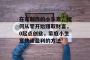 在家制作的小生意，如何从零开始赚取财富，0起点创业，家庭小生意快速盈利的方法