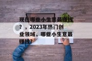 现在哪些小生意最赚钱？，2023年热门创业领域，哪些小生意最赚钱?