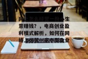 网上怎么经营一份小生意赚钱？，电商创业盈利模式解析，如何在网络上运营一家小型企业