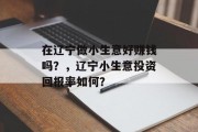 在辽宁做小生意好赚钱吗？，辽宁小生意投资回报率如何？