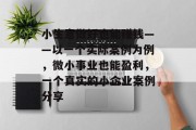 小生意做好也能赚钱——以一个实际案例为例，微小事业也能盈利，一个真实的小企业案例分享