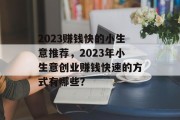 2023赚钱快的小生意推荐，2023年小生意创业赚钱快速的方式有哪些？