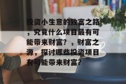 投资小生意的致富之路，究竟什么项目最有可能带来财富？，财富之源，探讨哪些投资项目有可能带来财富？