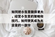 如何把小生意做得更大，经营小生意的策略和技巧，如何使其成为大企业的一部分
