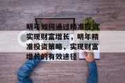 明年如何通过精准投资实现财富增长，明年精准投资策略，实现财富增长的有效途径