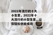 2022年流行的十大小生意，2022年十大流行的小型生意，让你轻松创业成功