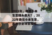 2022年，哪些小本生意赚头最大？，2022年最佳小本生意，暴利创业项目推荐