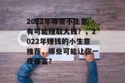 2022年哪些小生意有可能赚取大钱？，2022年赚钱的小生意推荐，哪些可能让你一夜暴富?