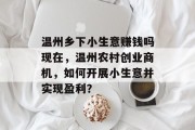 温州乡下小生意赚钱吗现在，温州农村创业商机，如何开展小生意并实现盈利？