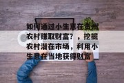 如何通过小生意在贵州农村赚取财富？，挖掘农村潜在市场，利用小生意在当地获得财富